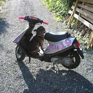 Staffordshire bull terrier tyson