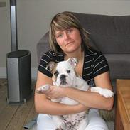 Engelsk bulldog Balder