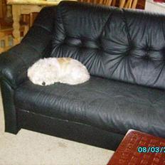 Blanding af racer perle {R.I.P min <3 :'(}