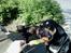 Blanding af racer Tyson *22/2-04 - 10/8-07* - NAM NAM..IS..  NYT