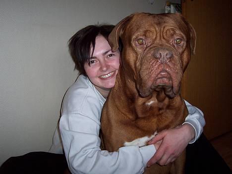 Dogue de bordeaux Valour R.I.P.  - Min bedste ven - mor!! billede 7