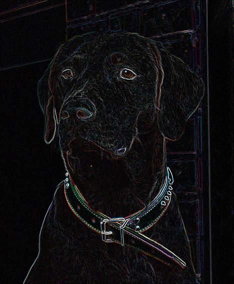 Blanding af racer Maggie - ja kunst det kan vi også!!! billede 10