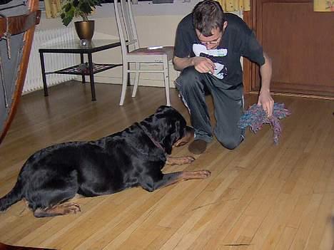 Rottweiler Kira - Lek derimot, elsker hun. billede 8