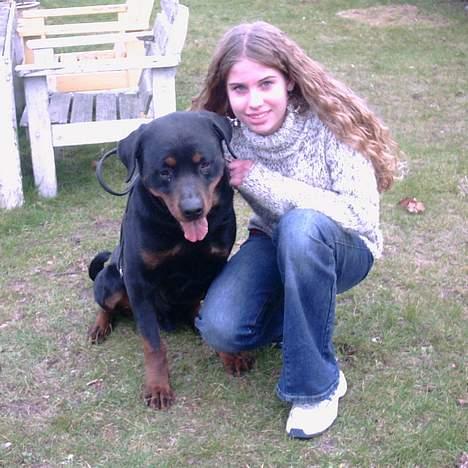 Rottweiler Kolja(Død) billede 4