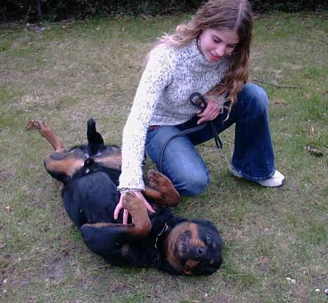 Rottweiler Kolja(Død) - uhhhh... ja lige der... billede 6