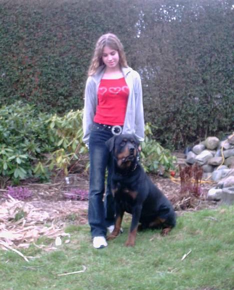 Rottweiler Kolja(Død) billede 10