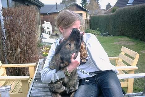 Schæferhund Wiliam (død) - Ihhh.... hvor er du sød.... billede 10