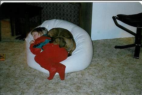 Gravhund Tiki Død - snork...! begge 2 billede 2