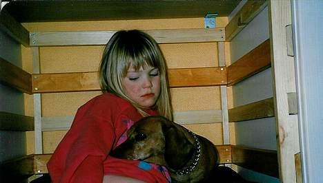 Gravhund Tiki Død - dagen inden hun skal aflives:´( snøft billede 3