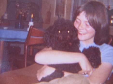 Dværgpuddel Rico(død) billede 5