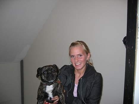 Blanding af racer Luna (R.I.P aflivet 17/1-17) - Mig og min mor billede 7