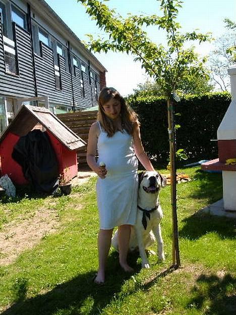 Blanding af racer Tessa - Nikita, Tessa og den længe ventede is billede 11