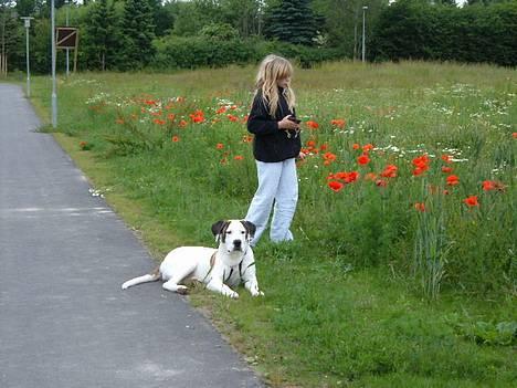 Blanding af racer Tessa billede 12