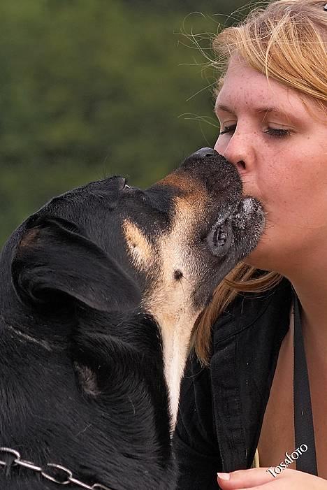 Blanding af racer Tyson *22/2-04 - 10/8-07* - Tosafoto.... Elsker min moar.... *NYT* billede 11