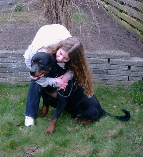 Rottweiler Kolja(Død) billede 11