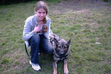 Schæferhund Wiliam (død) billede 13