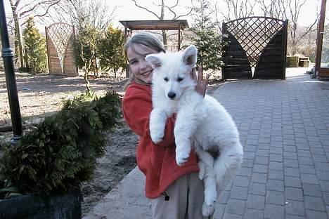 Hvid schæfer *Kayla May* - Nathaly syn´s også, jeg er krammedejlig... billede 4