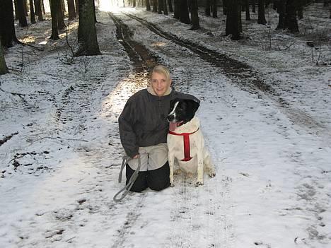 Blanding af racer Buster* R.I.P* - Mig og Buster er vi ikke seje.. Smiler.. billede 6
