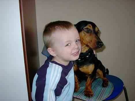 Gravhund Snoopy - Mig og Mads billede 9