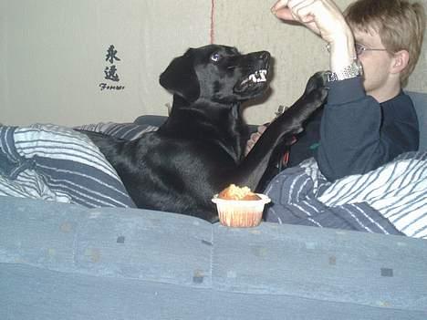 Blanding af racer Bonnie 27/1/02  - giv mig den billede 14