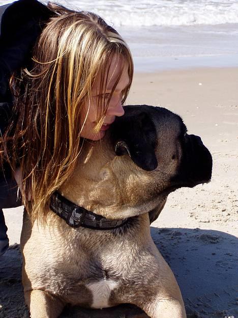 Bullmastiff ~OZZY~ Lækkerdrengen!     - Mig & Ozzydrengen apr. 07 billede 11