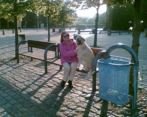 Blanding af racer Frøya Embla - Skal lige sidde på bænken jeg også mormor! billede 17