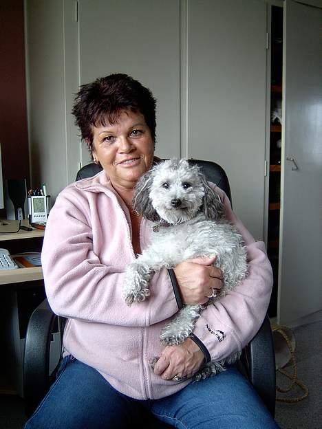 Dværgpuddel lunte - min mor og mig billede 2