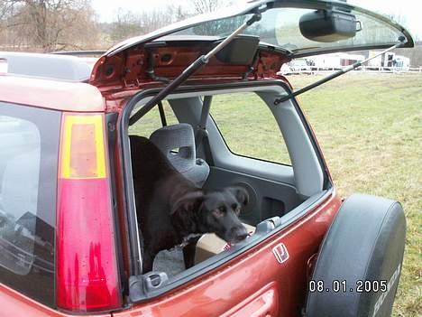 Blanding af racer Sara - Sara er på vej ud af vores bil:) billede 13