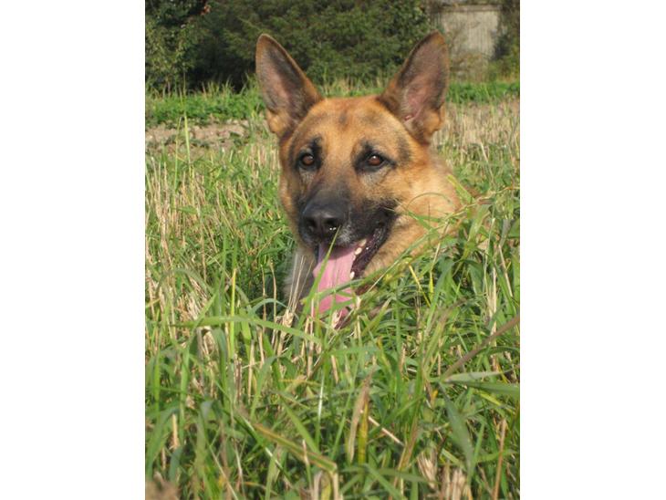 {{currentPhoto.altText}} billede {{currentPhoto.number}}