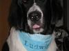 Landseer Ludwig *R.I.P.*