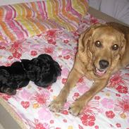 Blanding af racer joppe <33