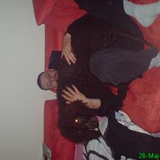 Irish water spaniel Famus crowd's musca