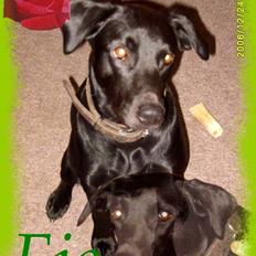 Blanding af racer Fie.