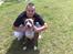 Amerikansk staffordshire terrier Aico R.I.P - Sidder sammen med far!