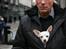 Chihuahua Guadalupe (Lupe) - Lupe sidder trygt og varmer sig under jakken på sin gode ven, Årets dyreven 2010, Christian H. Hansen, MF og partiformand i FOKUS
