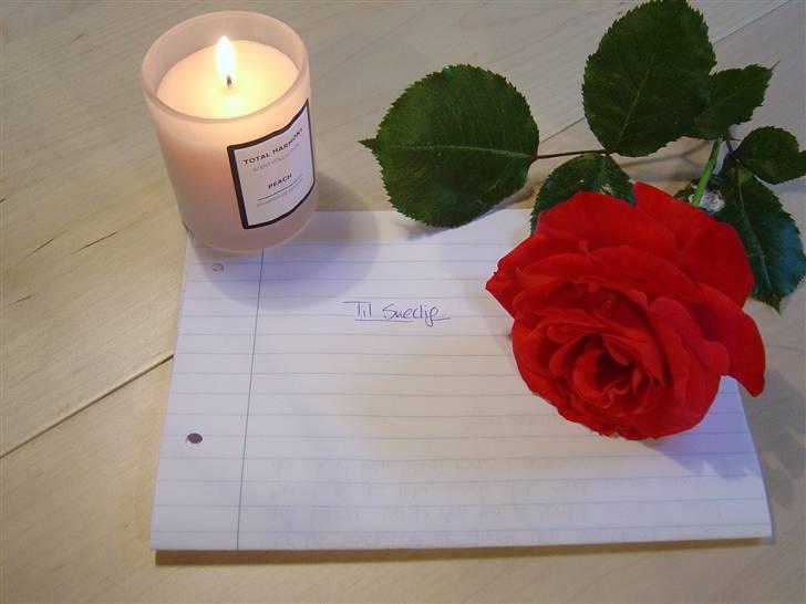 Blanding af racer Zenith - Død 1. juni 2007 - En sidste hilsen billede 19