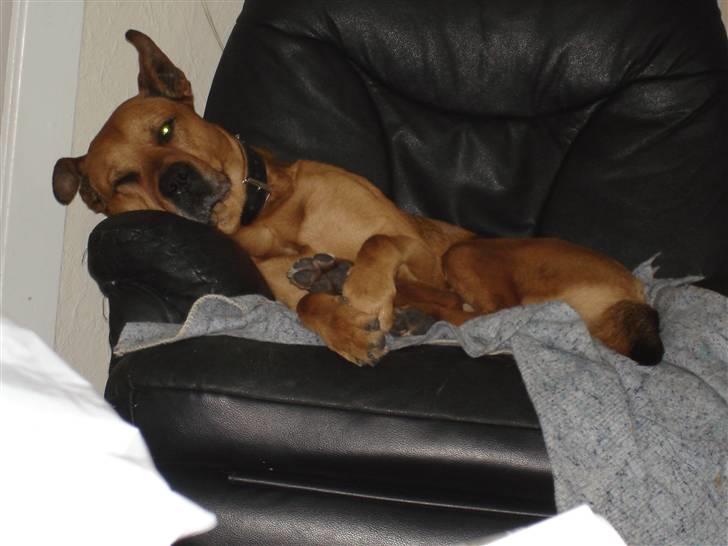 Blanding af racer rommel - nå, er du der? billede 7