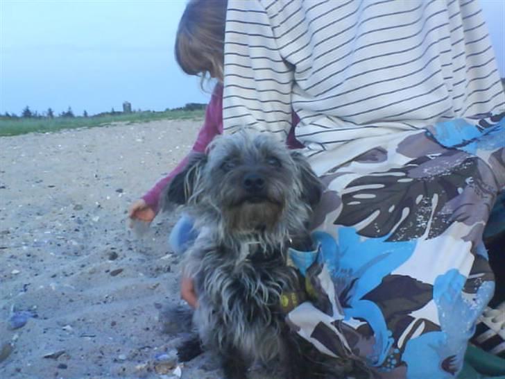 Blanding af racer Cirkeline R.I.P :'(  - Cirkeline <3 billede 5