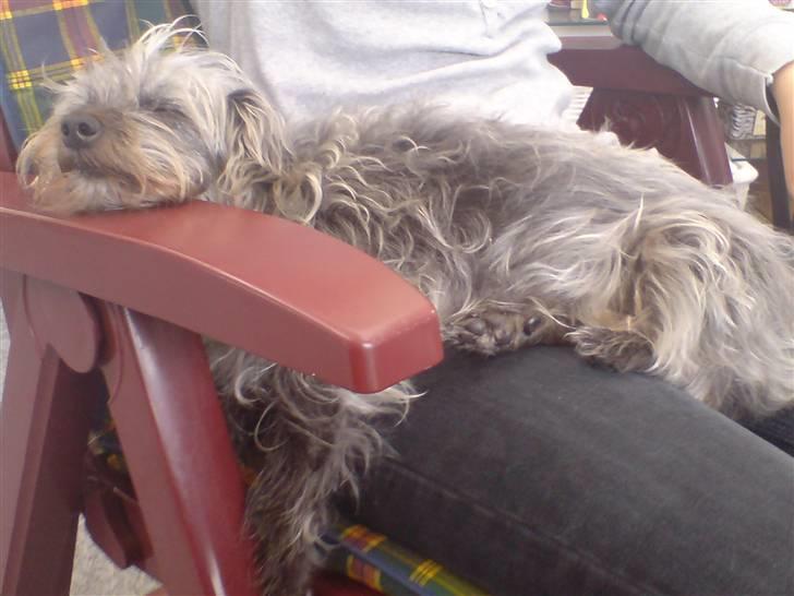 Blanding af racer Cirkeline R.I.P :'(  - Cirkeline <3 billede 10