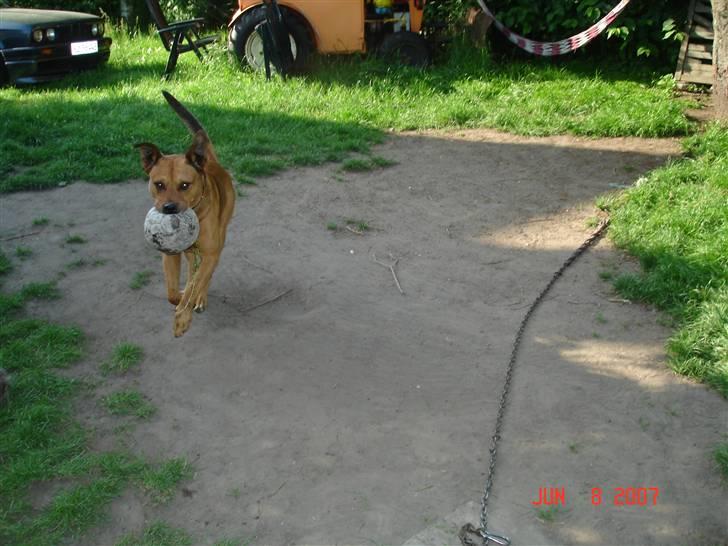 Blanding af racer rommel - ja her kommer jeg med den billede 15