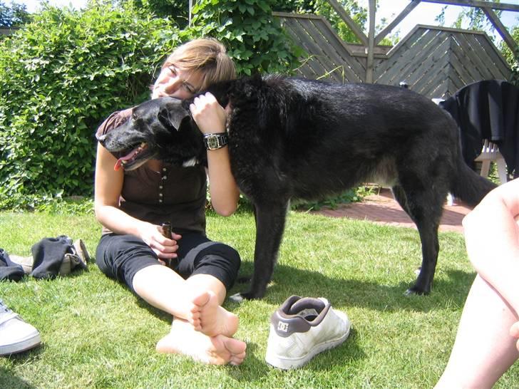 Blanding af racer Max - Dejlige Max billede 3