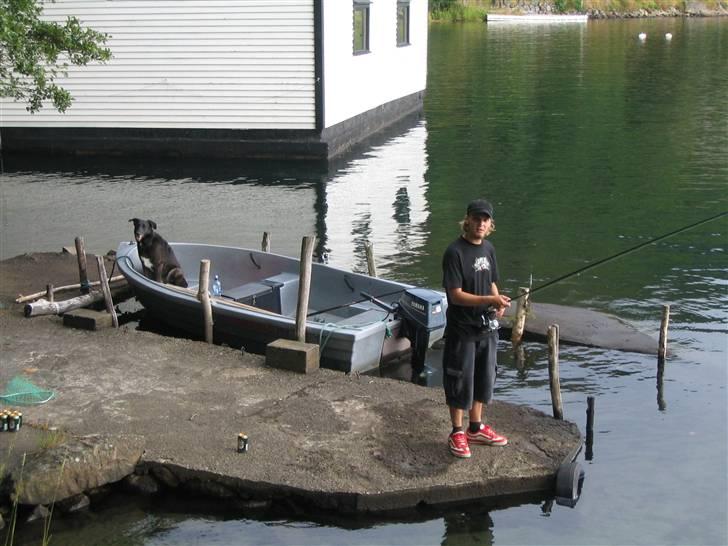 Blanding af racer Max - Skal vi ikke snart ud at sejle?? billede 7