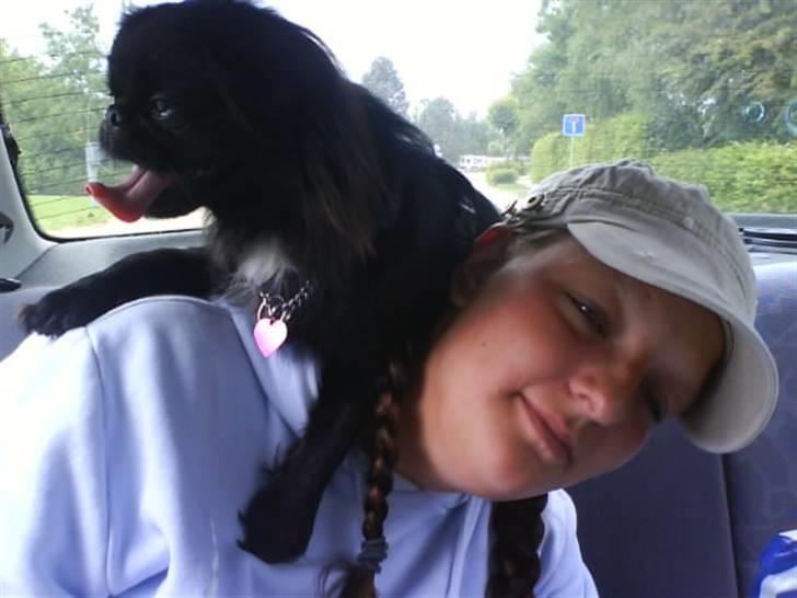 Blanding af racer Fie - mig og min papegøje Fie billede 9