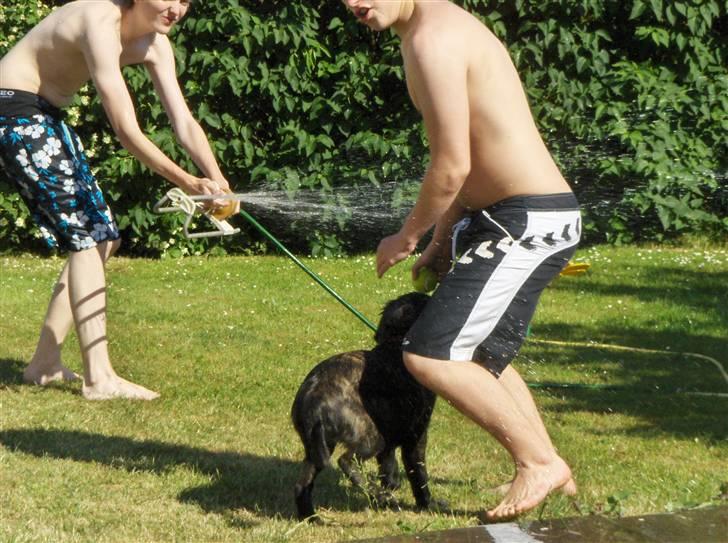 Blanding af racer Diva - Ju-biiii vandkamp, jeg er med! billede 15