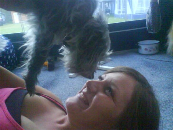 Blanding af racer Cirkeline R.I.P :'(  - Camilla & Cirkeline <3 billede 14