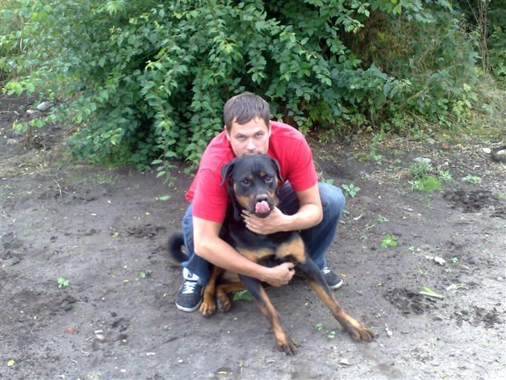 Rottweiler Cleo - sidder sammen med far billede 7