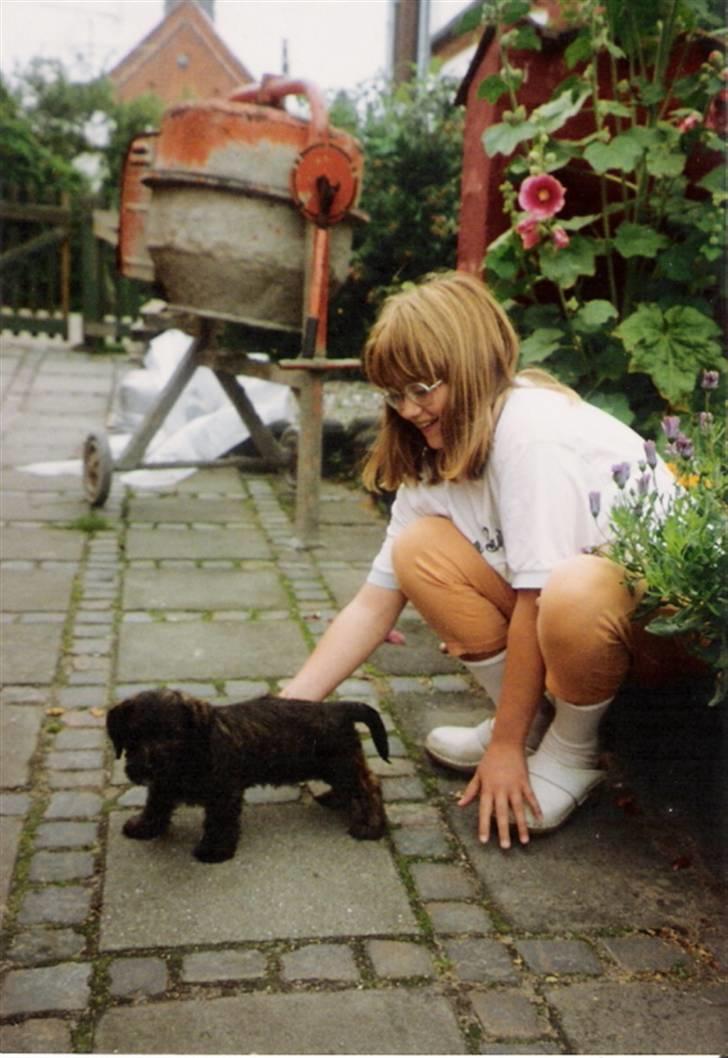 Blanding af racer Olivia - Gaaaaammelt billede ! Mig og Olivia for 14 år siden *G* billede 9