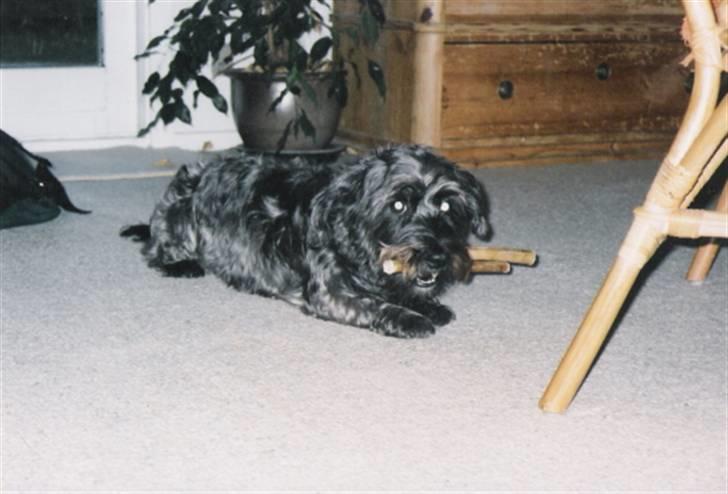 Blanding af racer Olivia - Det er mine...begge to...Og nej...Ku aldrig drømme om at dele *LoL*  billede 12