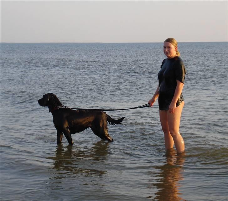 Blanding af racer Fie - Dette er livet, vand vand og atter vand.... billede 18