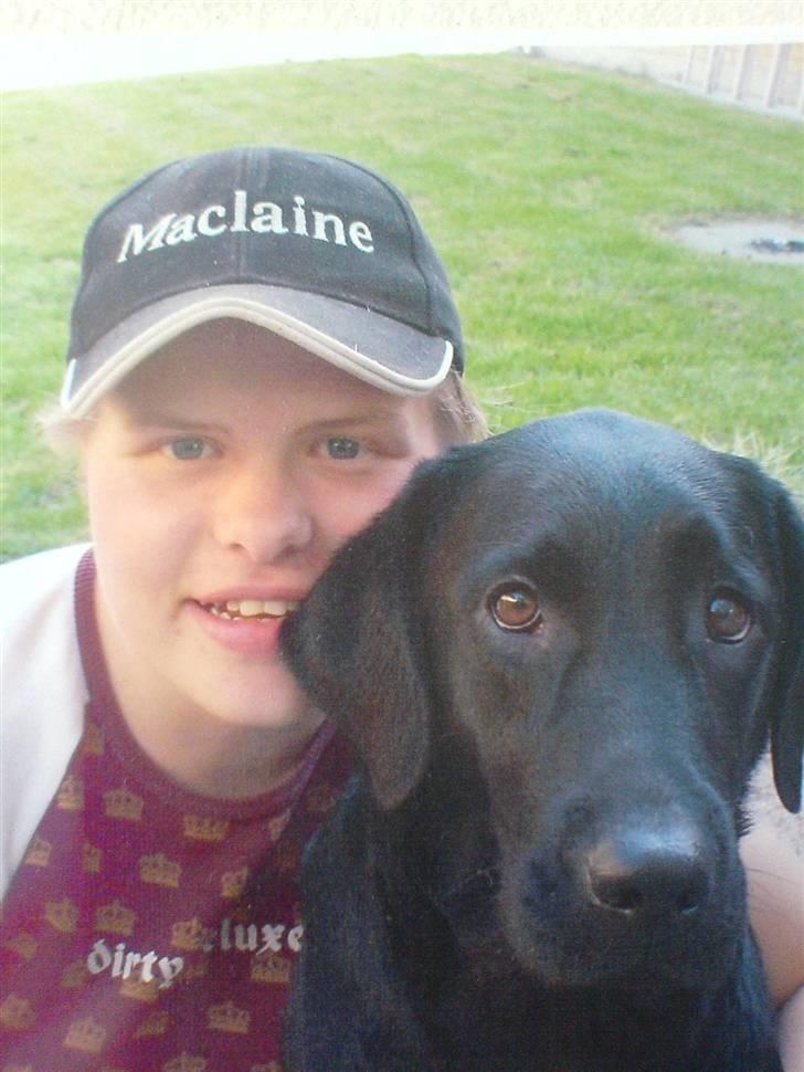 Labrador retriever Effi  R.I.P - hygge <33 billede 11